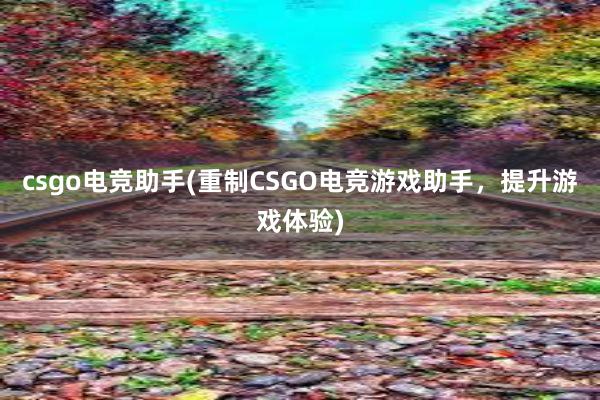 csgo电竞助手(重制CSGO电竞游戏助手，提升游戏体验)