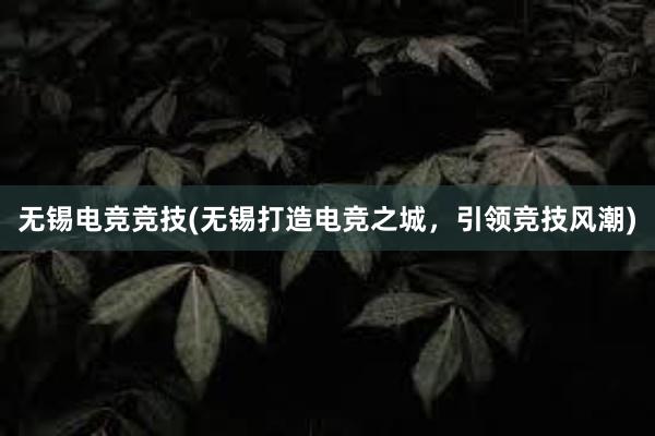 无锡电竞竞技(无锡打造电竞之城，引领竞技风潮)