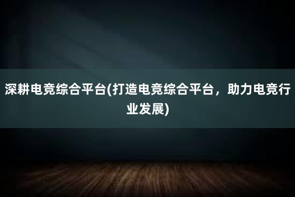 深耕电竞综合平台(打造电竞综合平台，助力电竞行业发展)