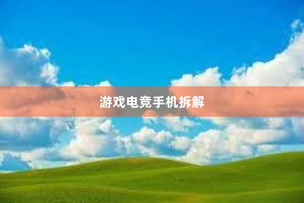 游戏电竞手机拆解