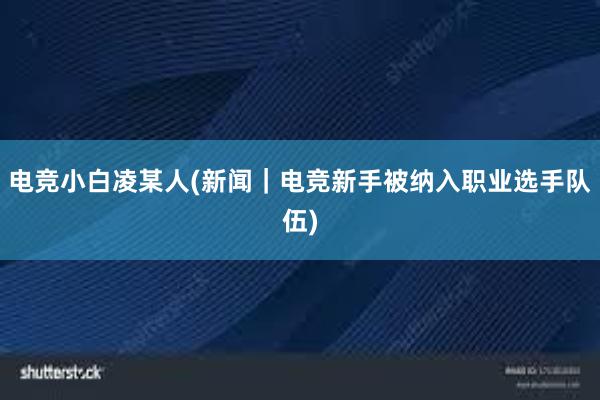 电竞小白凌某人(新闻｜电竞新手被纳入职业选手队伍)