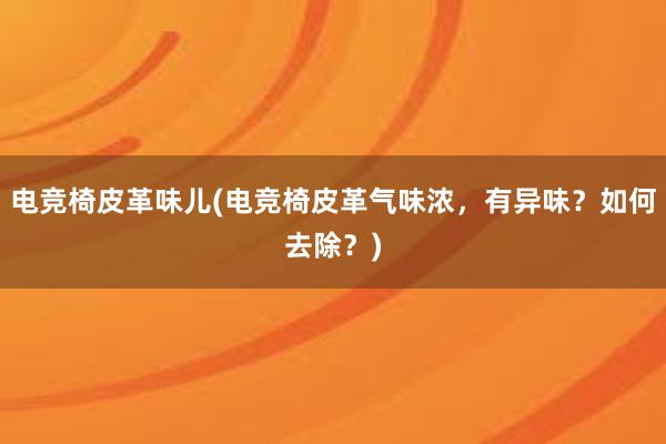 电竞椅皮革味儿(电竞椅皮革气味浓，有异味？如何去除？)