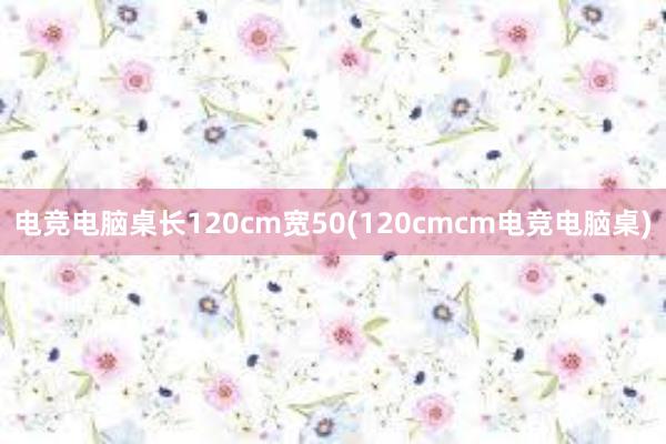 电竞电脑桌长120cm宽50(120cmcm电竞电脑桌)