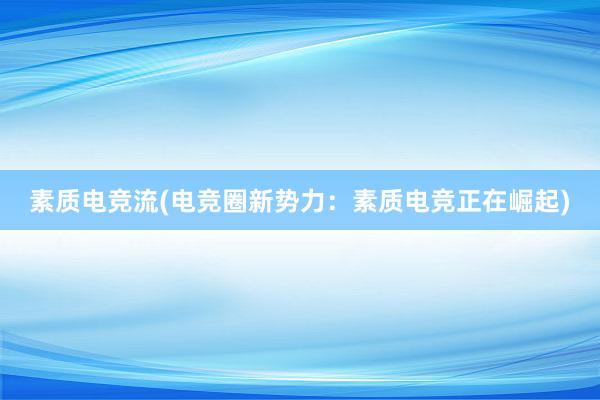 素质电竞流(电竞圈新势力：素质电竞正在崛起)