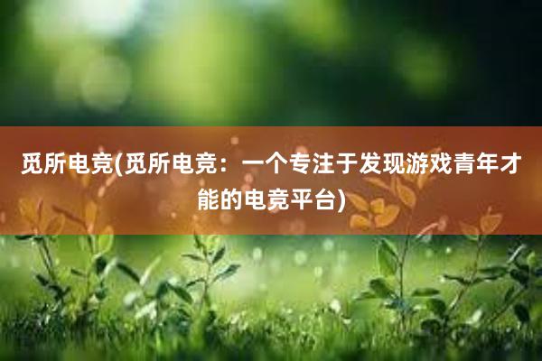 觅所电竞(觅所电竞：一个专注于发现游戏青年才能的电竞平台)