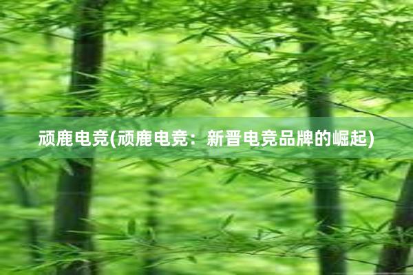 顽鹿电竞(顽鹿电竞：新晋电竞品牌的崛起)