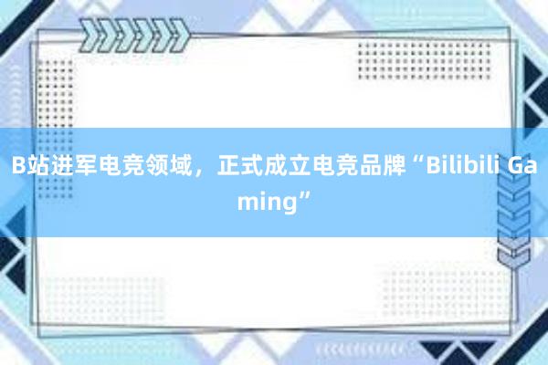 B站进军电竞领域，正式成立电竞品牌“Bilibili Gaming”