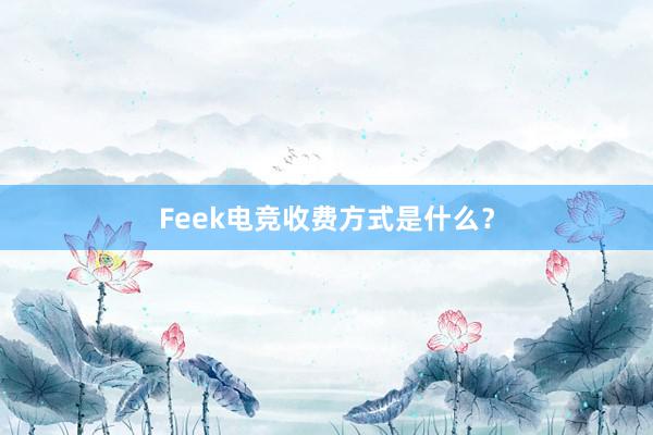 Feek电竞收费方式是什么？