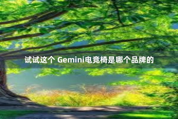 试试这个 Gemini电竞椅是哪个品牌的