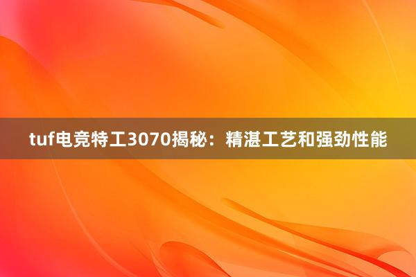 tuf电竞特工3070揭秘：精湛工艺和强劲性能