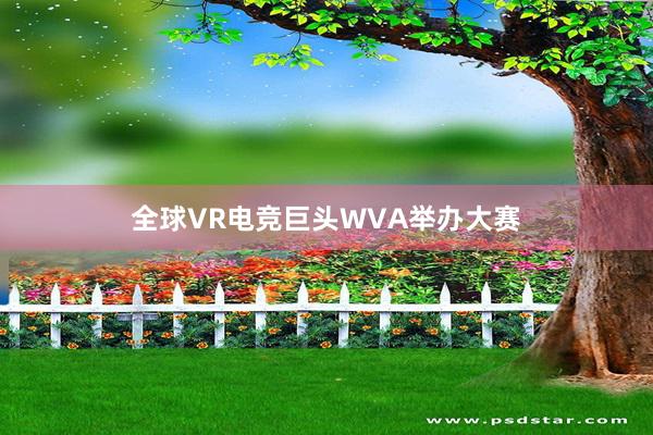 全球VR电竞巨头WVA举办大赛