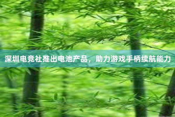 深圳电竞社推出电池产品，助力游戏手柄续航能力