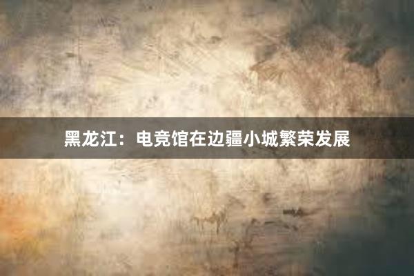 黑龙江：电竞馆在边疆小城繁荣发展