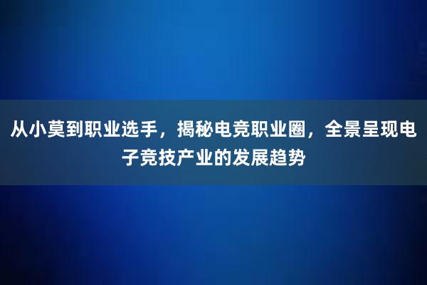 从小莫到职业选手，揭秘电竞职业圈，全景呈现电子竞技产业的发展趋势