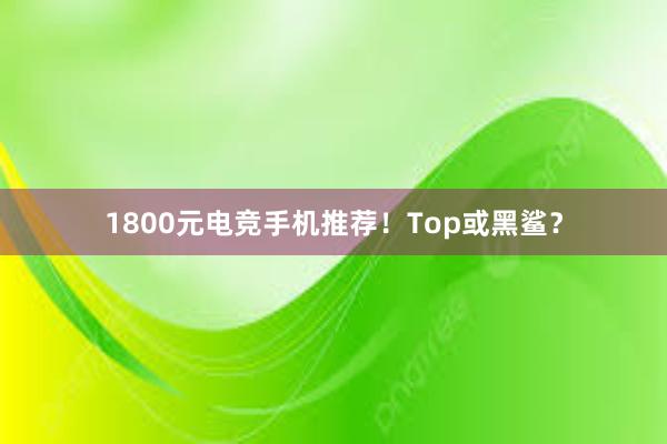 1800元电竞手机推荐！Top或黑鲨？