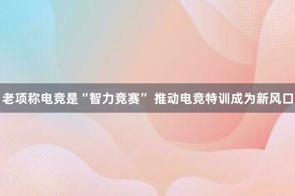 老项称电竞是“智力竞赛” 推动电竞特训成为新风口