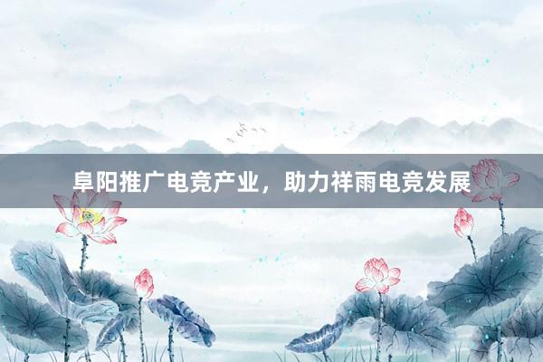 阜阳推广电竞产业，助力祥雨电竞发展